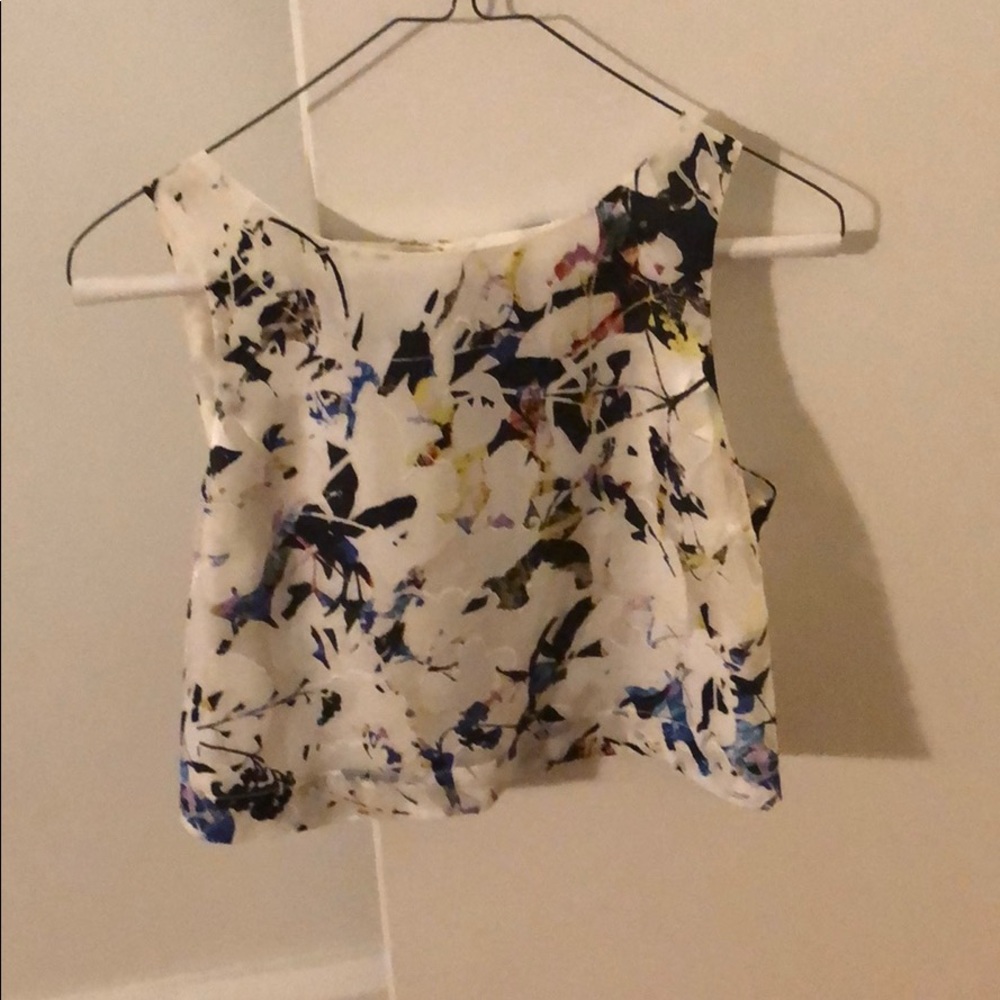 Elizabeth and James Crop Top